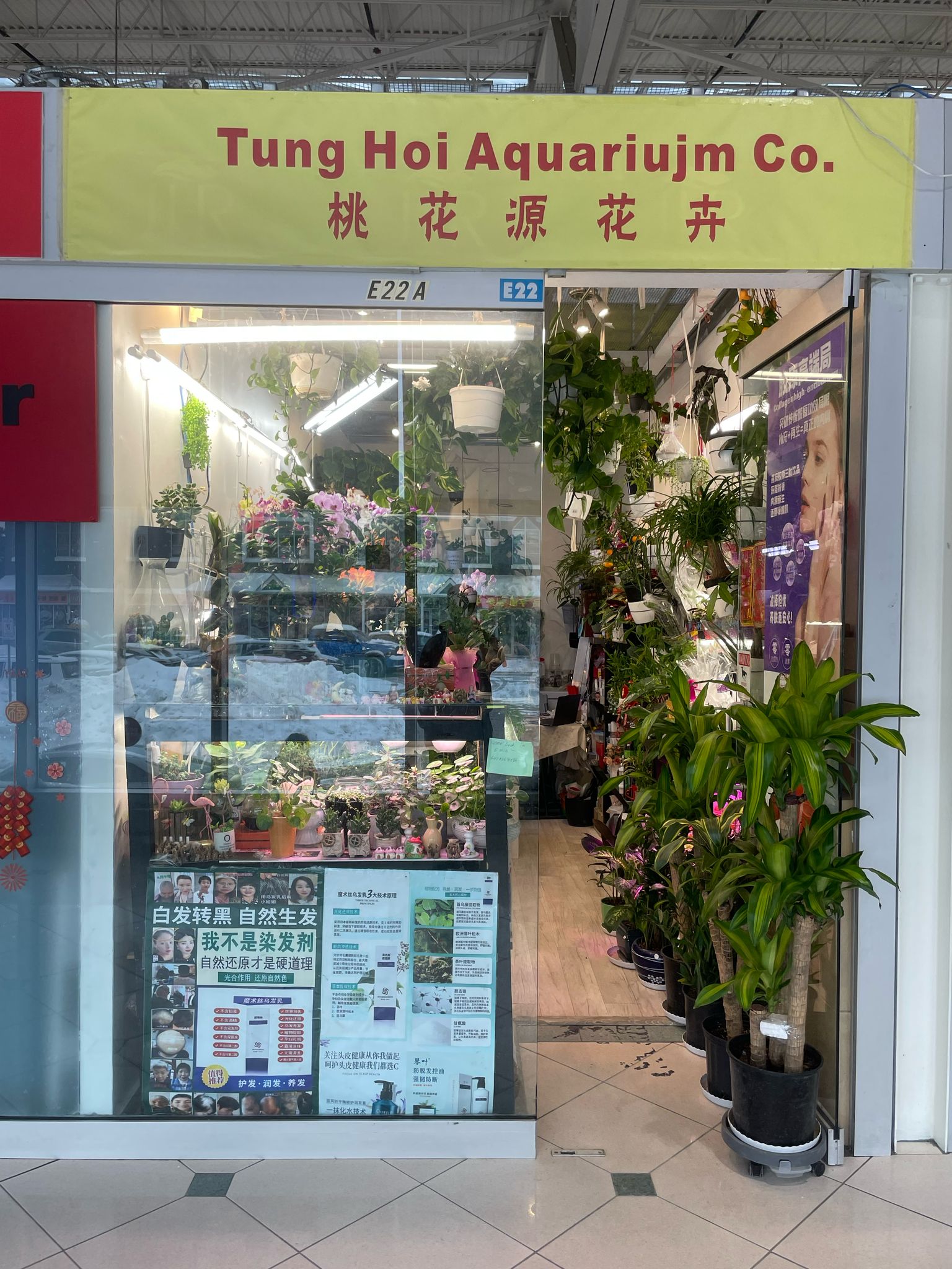 Tung Hoi Aquarium Co.